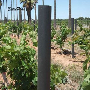 Vinogradarska pošta